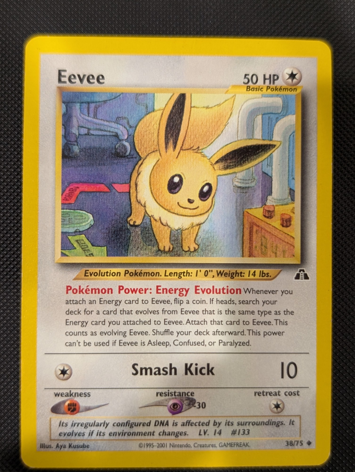 Front of Eevee, 38/75