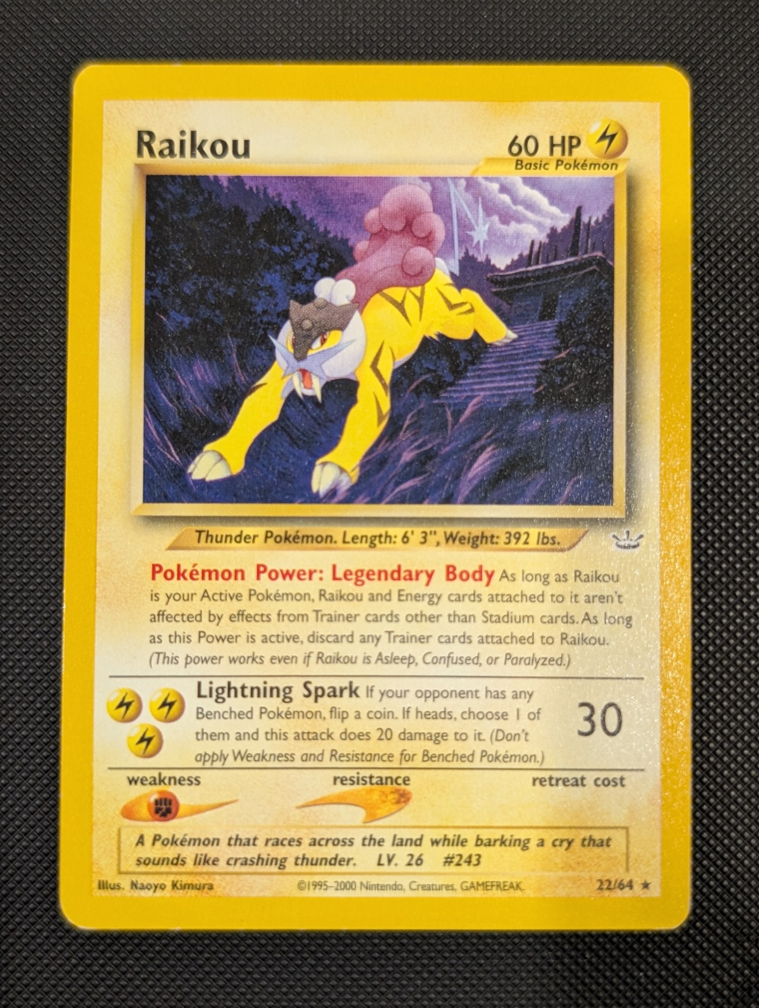 Front of Raikou, 22/64